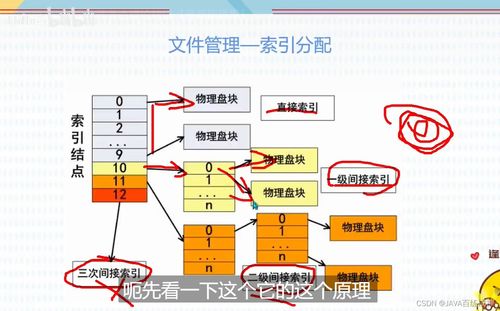 軟考軟件設(shè)計(jì)師 存儲(chǔ)管理 文件管理 計(jì)算機(jī)網(wǎng)絡(luò) 中